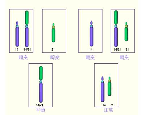 借卵试管多钱_供卵试管机构,试管婴儿有几种,试管婴儿疼吗