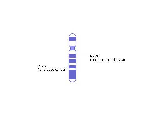 福建靠谱供卵试管|福建省妇幼保健院有做供卵吗