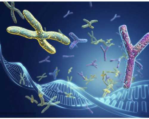 福建代生子多少钱,福建试管成功率高的私立医院