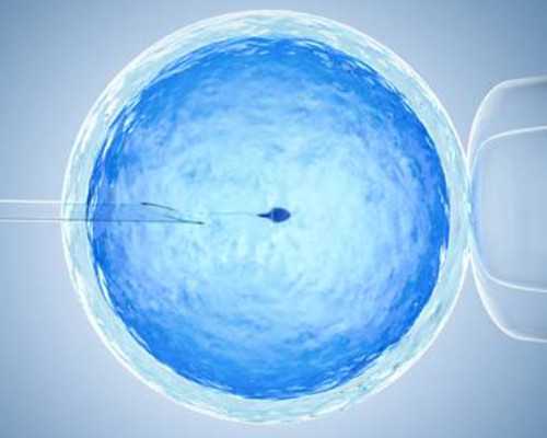 福建供卵试管助孕,泉州做供卵试管成功率取决于哪些因素，福建借卵试管助孕