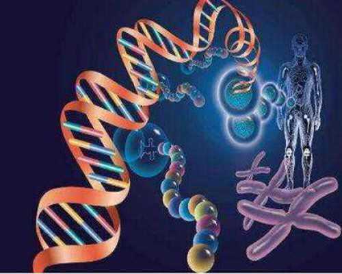 福建试管供卵婴儿,福建供卵试管成功率