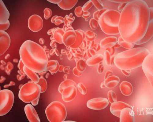 福建代生选男女费用,2025福建省妇幼保健院供卵三代生男孩费用一览