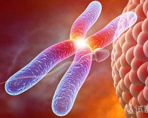 福建生殖代孕医院|单身女性可以买精*子吗福建哪家医院可以申请供精