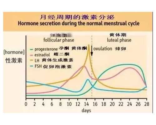 福建试管供卵生子,福建哺乳假期多长？哺乳期过短有哪些影响？