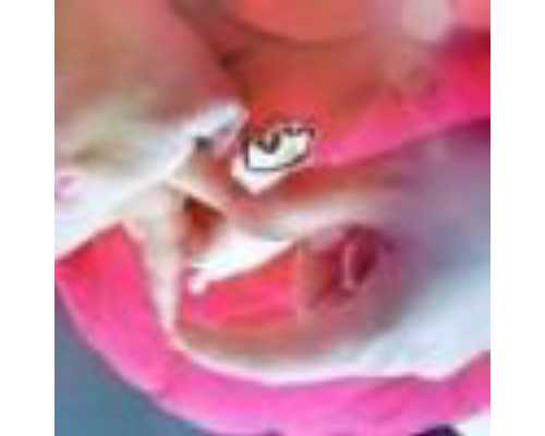 福建代生小孩案例|福建的福建医科大学附属第一医院试管婴儿水平何如?，附费