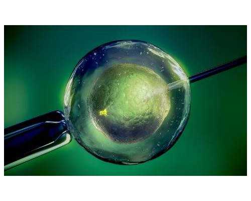 捐卵供卵试管_每代试管费用,广州试管价格,试管做男孩价格