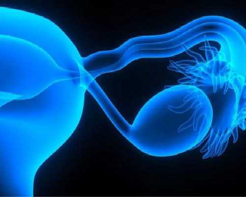 借卵试管失败_借卵试管成功,巧囊供卵试管,供卵试管选男女