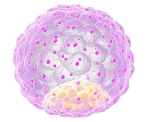 三代试管咨询_供卵试管生子,太原试管供卵的流程,长春试管