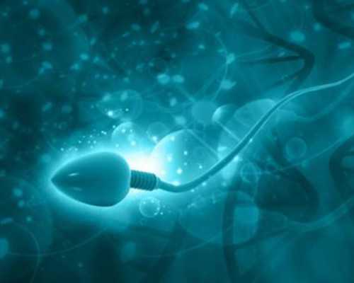 福建a69代孕公司|封丘精子库捐献,福建人民医院精子库